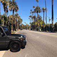 Отзыв от Анатолий - DTV виза